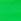 Green Roman Turn Up Stretch Shorts