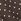 Brown Long Tall Sally Spot Asymmetric Lace Cami