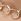 Gold Tone Link Chain Necklace