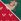 Green/ Grey Capybara Regular Christmas Socks 2 Pack