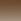 Transparent Brown Ray Ban Erika Sunglasses