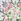 Cream Joules Kensington Cotton Scarf
