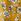 Yellow Evans Curve Floral Print Tunic