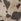 Dalmation Print Wide Leg Jeans (3-16yrs)