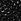 Black Steve Madden Marli Ballerina Shoes