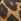 Leopard - Steve Madden Imprimeu animal Missile-l Sandale