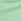 Green Adidas Tiro 24 Shorts