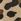 Animal Print Touch Fastening Espadrilles Shoes