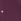 Purple Yours Curve Star Embellished Swing Top