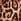 Brown Leopard Print Drawstring Wide Leg Trousers