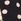 Black and Ivory Polka Dot Love & Roses 3/4 Sleeve Broderie Jersey Shirt