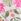 Cream/Pink Paisley Padded Shaping Wired Halter Bikini Top