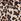 Leopard Tummy Control Unitard Swimsuit