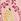 Pink Lemon Print Tanga Bikini Bottoms