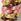 Pink Fatface Twist Hair Tie