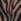 Zebra Long Sleeve Mesh Shirt