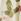 Kew Gardens Cream Tropical Pleated Mesh V-neck Occasion Maxi Dress