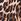 Leopard Threadbare 100% Cotton Jersey Bandeau Maxi Dress With Pockets
