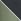 Black/Khaki Green Regular Essential Swim Shorts 2 Pack
