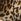 Animal Lipsy Leopard Print Long Sleeve Blouse