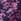 Roz - Crew Clothing Lyla Cu nasturi Printed Bluze