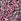 Pink M&co Floral Print Twist Front Short Sleeve Dress