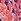 Pink Batik Floral Fatface Cuffed Jogger
