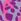 Purple Nike Animal Print Lace-up Back Bikini Set