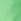 Green Swim Shorts (1.5-16yrs)