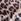 Animal Novo Katya Point Stiletto Ankle Boots