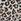 Animal Converse Chuck Taylor All Star Ox Trainers