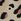 Gold Havaianas Gold Slim Animals Print Sandals