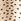 עור זהב - Tabitha Simmons X Next Darcy Leather Round Toe Laser Cut Espadrille Mules