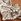 Silver Tone Ted Baker Cherisa: Crystal Cluster Heart Adjustable Bracelet