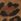 Schwarz - Schuh Suede Moccasin Boat Shoes
