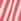 Red Stripe - Love & Roses Printed Roll Sleeve Shirt