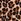 Leopard Brown Victoria's Secret Halter Push Up Swimsuit