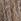 Black Gina Bacconi Cheri Metallic Knit Tiered Dress
