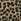 Brown Albaray Animal Brown 100% Cotton Cullottes