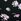Black Floral Print Victoria's Secret Pink Bra