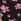 Black Ditsy Floral Print Victoria's Secret Pink Cotton Logo Knickers