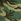 Green Camo Victoria's Secret Pink Low Back One Piece