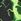 Black/Green Lightning Regular Fit Short Sleeve All-over Print T-shirt (3-16yrs)