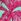 Aqua Blue and Pink Tropical Print Love & Roses V-neck Jersey Midi Dress
