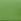 Green Accessorize Camera Webbing Strap Cross-body Bag