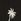 Black South Beach Palm Tree Embroidered Long Sleeve Shirt