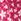 Pink/Red Floral Textured Flared Leggings (3-16yrs)