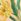 Kew Gardens Floral Print Cut Out Detail Scuba Occasion Dress (1.5-16yrs)