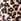 Animal Print Scuba Bow Dress (1.5-16yrs)