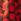 Red Regatta Hydra Fort Waterproof Orla Changing Robe